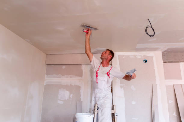 Best Ceiling Drywall Installation  in Maryland City, MD